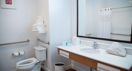 Hampton Inn & Suites by Hilton McKinney Room Type - 2 QNS HEARING ACC NOSMOK
