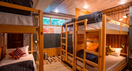 Zostel Manali (Vashisht) Room Type - A Bunk bed in a 6 Bed Female Dorm