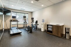Holiday Inn Express Hotel & Suites Buford NE - Lake Lanier Area