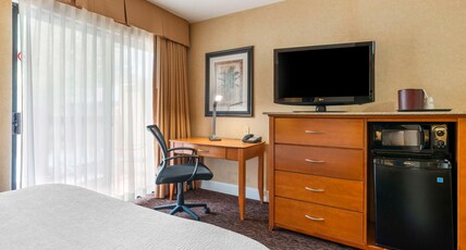 Best Western Plus Placerville Inn Room Type - 1 Queen Bed, Non-Smoking, Microwave And Refrigerator, Sofa Sleeper, Mini-Suite, High Speed Internet 