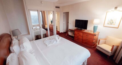 Pullman Bucharest Room Type - Deluxe Room, 1 Double Bed