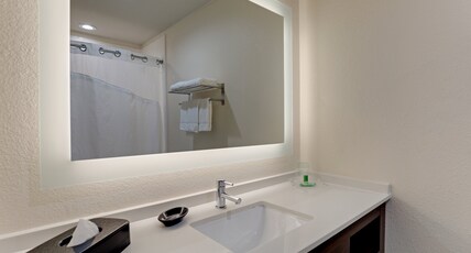 Holiday Inn MOBILE - AIRPORT Room Type - 1 King Bed Standard