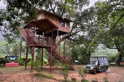 Wild Wood Tree House