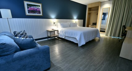 Holiday Inn Express - Asuncion Aviadores Room Type - 1 King Standard Sofa Bed