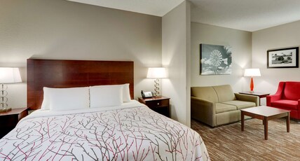Best Western Plus University Inn & Suites Room Type - Suite-1 King Bed, Non-Smoking, Sofabed, Jetted Tub, Work Desk, Microwave And Refrigerator, Wi-Fi, Fu Best Western Plus University Inn & Suites Room Type - Suite-1 King Bed, Non-Smoking, Sofabed, Jetted Tub, Work Desk, Microwave And Refrigerator, Wi-Fi, Fu