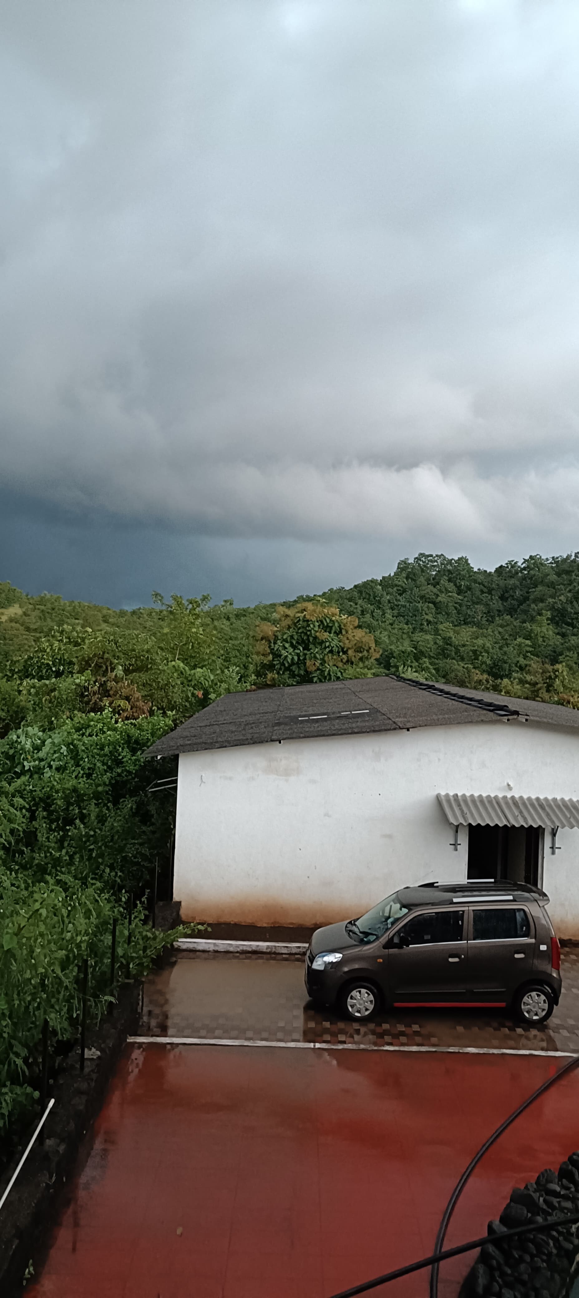 Forestview Paradise - Tap to explore photos