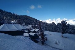 Camping at Serene Chopta