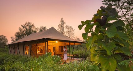 Aalia Jungle Retreat & Spa, Bandarjudh, Haridwar - Araiya Anthology Room Type - Luxury Tent with Twin Bed and Private Sitout Aalia Jungle Retreat & Spa, Bandarjudh, Haridwar - Araiya Anthology Room Type - Luxury Tent with Twin Bed and Private Sitout