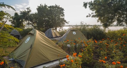 The Wilderness Campsite Room Type - Standard Tent