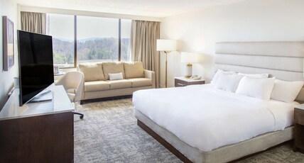 DoubleTree by Hilton Hotel Charlottesville Room Type - 1 KG ACC RI SHWR NO SMOK