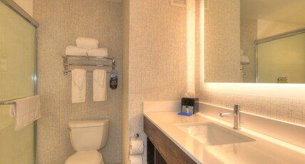Holiday Inn Express & Suites MOBILE/SARALAND Room Type - 1 King Standard Jetted Tub