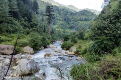 Himalyan Wild River View Homestay