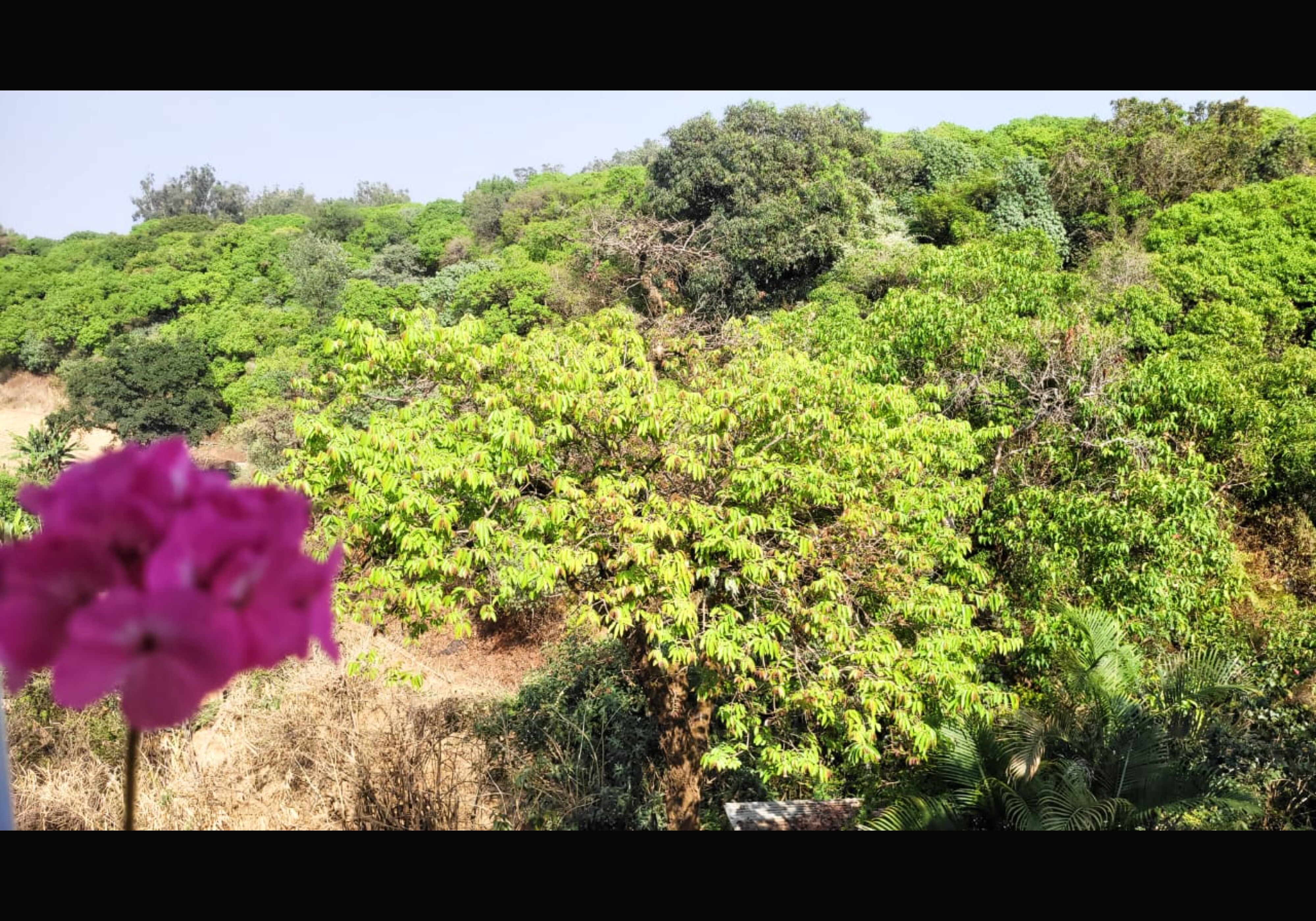 Strawberry Mini Resort Mahabaleshwar - Tap to explore photos