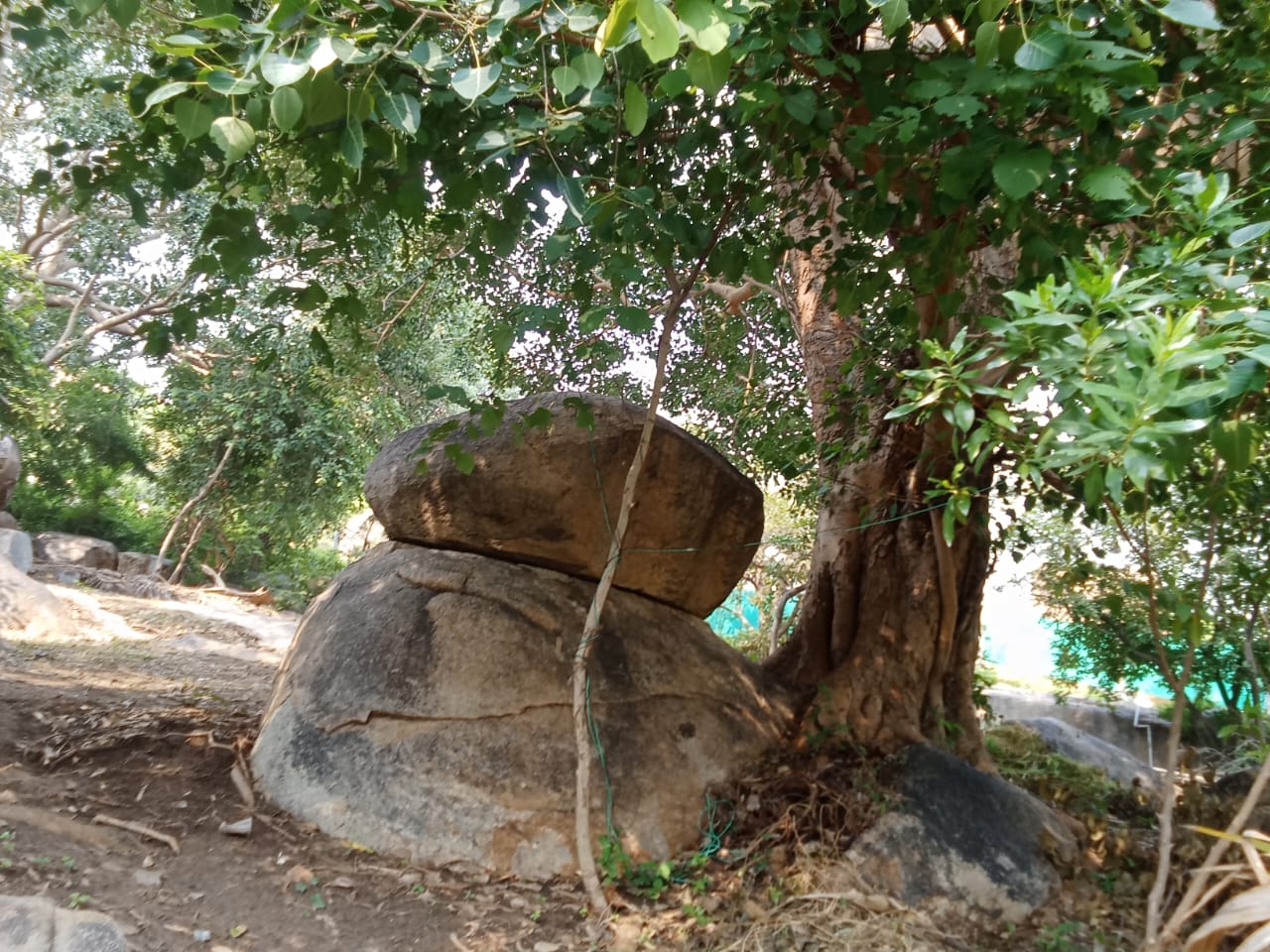 Nirvana Hampi - Tap to explore photos