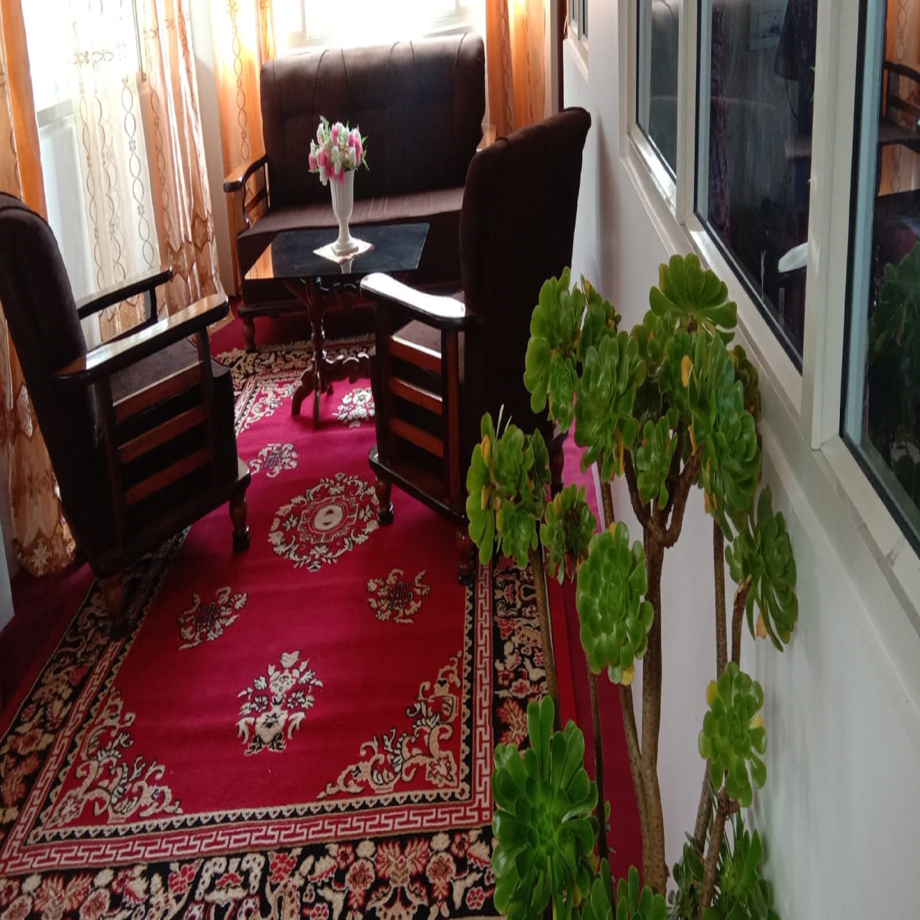 Rise N Shine - Tap to explore photos