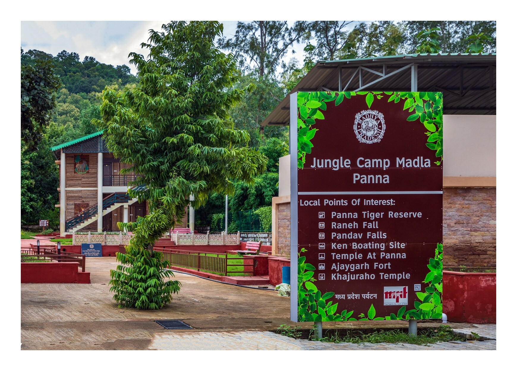 MPT Jungle Camp, Panna - Tap to explore photos