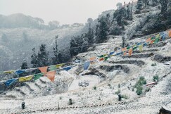 7 Heaven Cottages and Restaurant