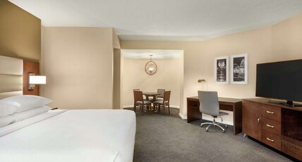 DoubleTree by Hilton Orlando Downtown Room Type - 1 KING STUDIO SUITE