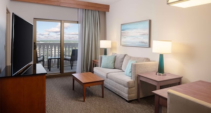 Hilton St. Petersburg Carillon Park Room Type - 1 KING BED JUNIOR SUITE