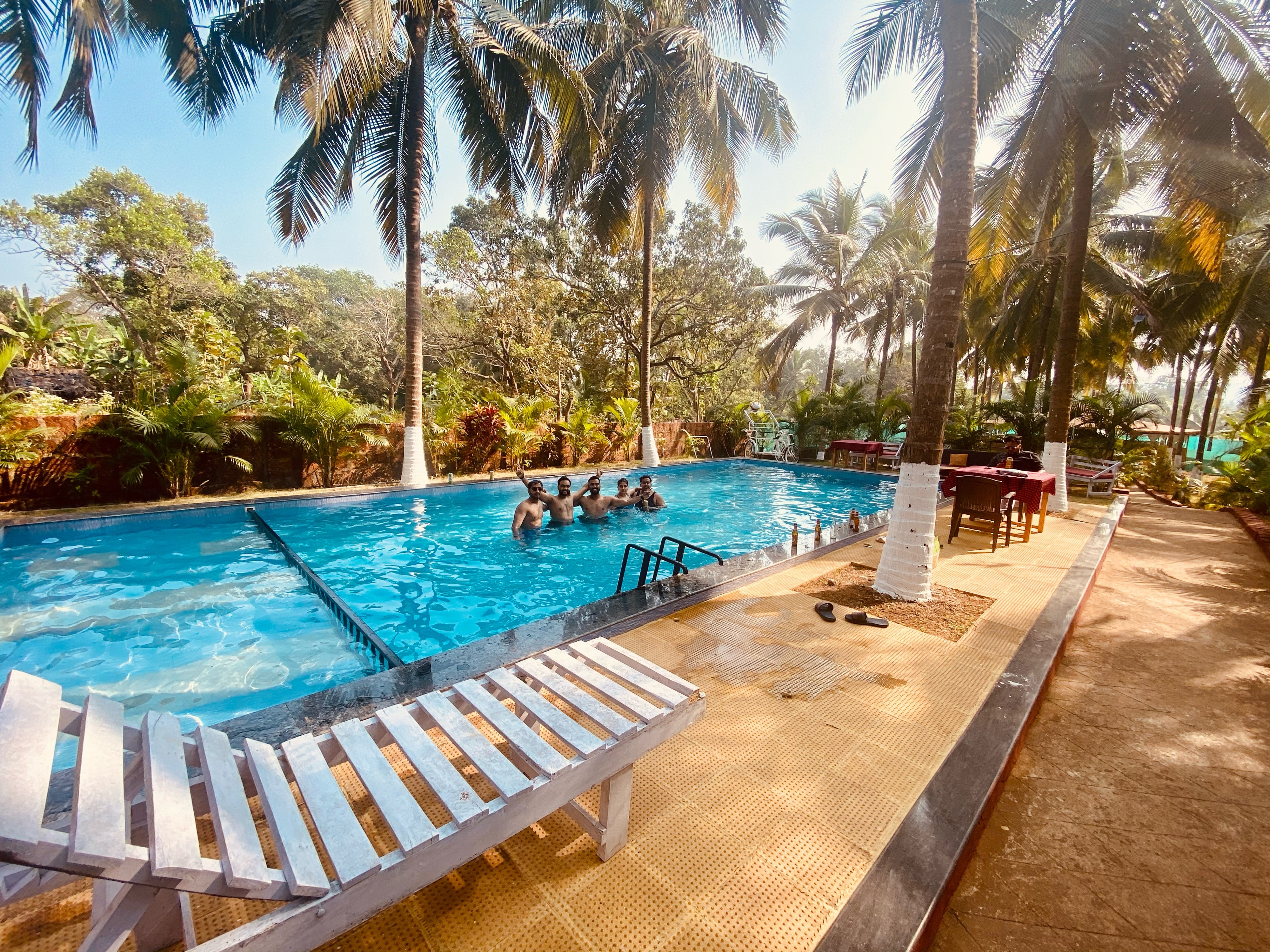 Pool area surrounded by greenery