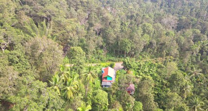 VMJ Wild Stay Room Type - EDENS (2 bedroom balcony )