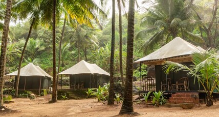 Soneca Cola Beach | Your Beach stay Room Type - AC Sea facing tents