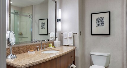 Hilton San Diego Bayfront Room Type - SKYLINE BAY CITY VW 1 KING