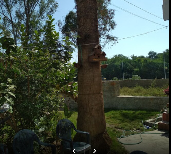 Hotel Anjani Palace - Tap to explore photos