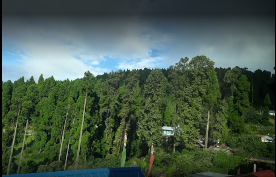 Hotel Devika - Tap to explore photos