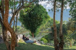 Address of The Wild Forest Resorts