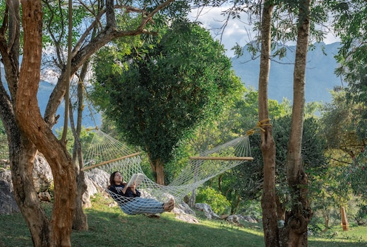 The Wild Forest Resorts
