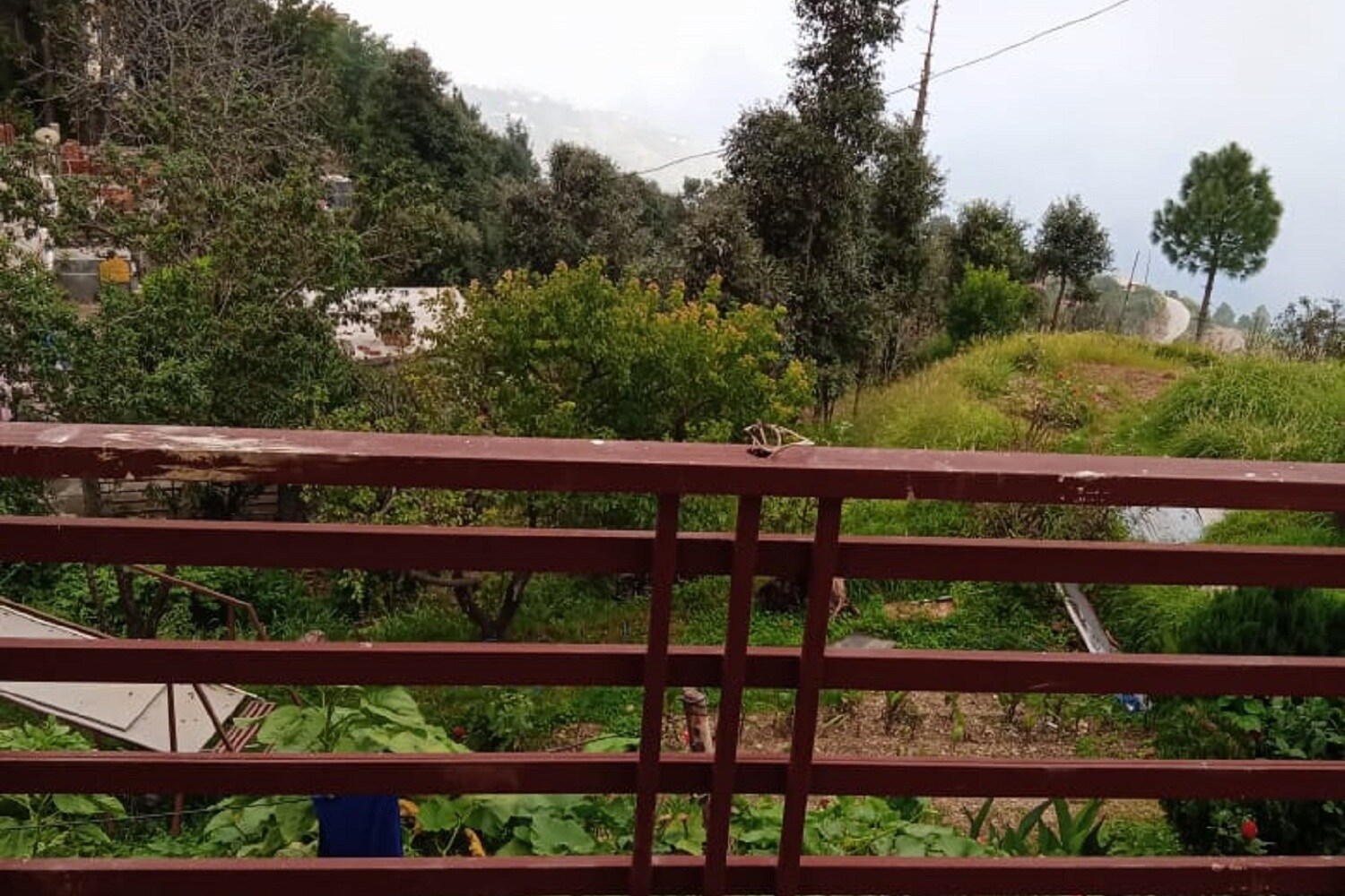 Amuser Stays - Tap to explore photos