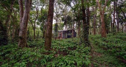 Cove by Raho: Nestled Away Retreat Room Type - Cove by Raho: Nestled Away Retreat