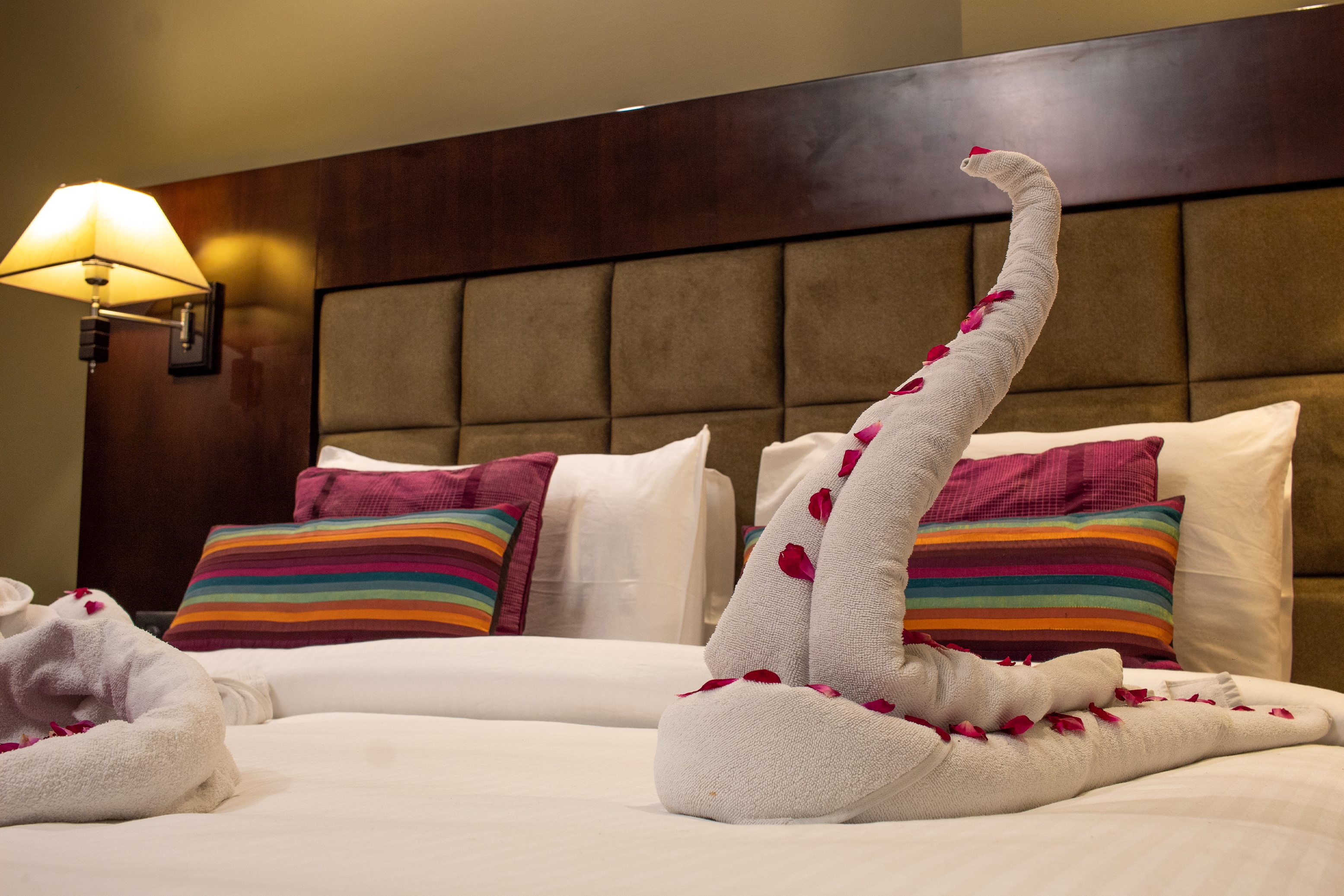 Hotel Rock Manali ( Akhnoor Hotels Pvt. Ltd.) - Tap to explore photos