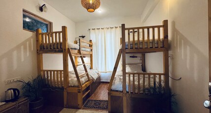 The Thatch Hostel & Cafe Room Type - Bunk Bed in 4 bed female bunk room