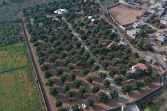 Saachi Villagio Resort