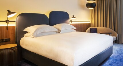 Crowne Plaza NICE - GRAND ARENAS Room Type - Standard Room
