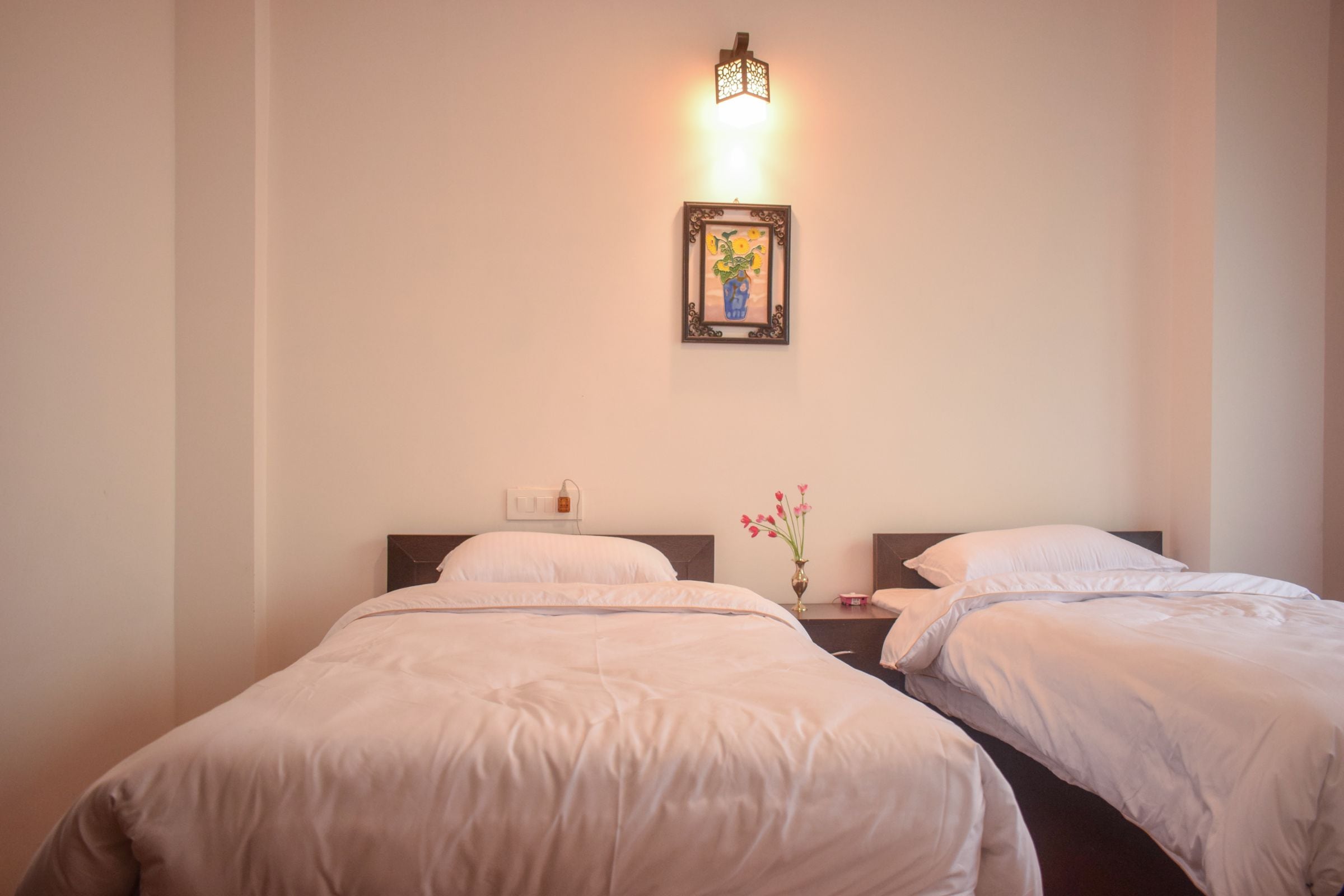 Tea View Homestay - Tap to explore photos