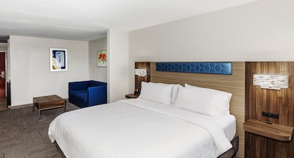 Holiday Inn Express Breaux Bridge Room Type - 1 King Suite