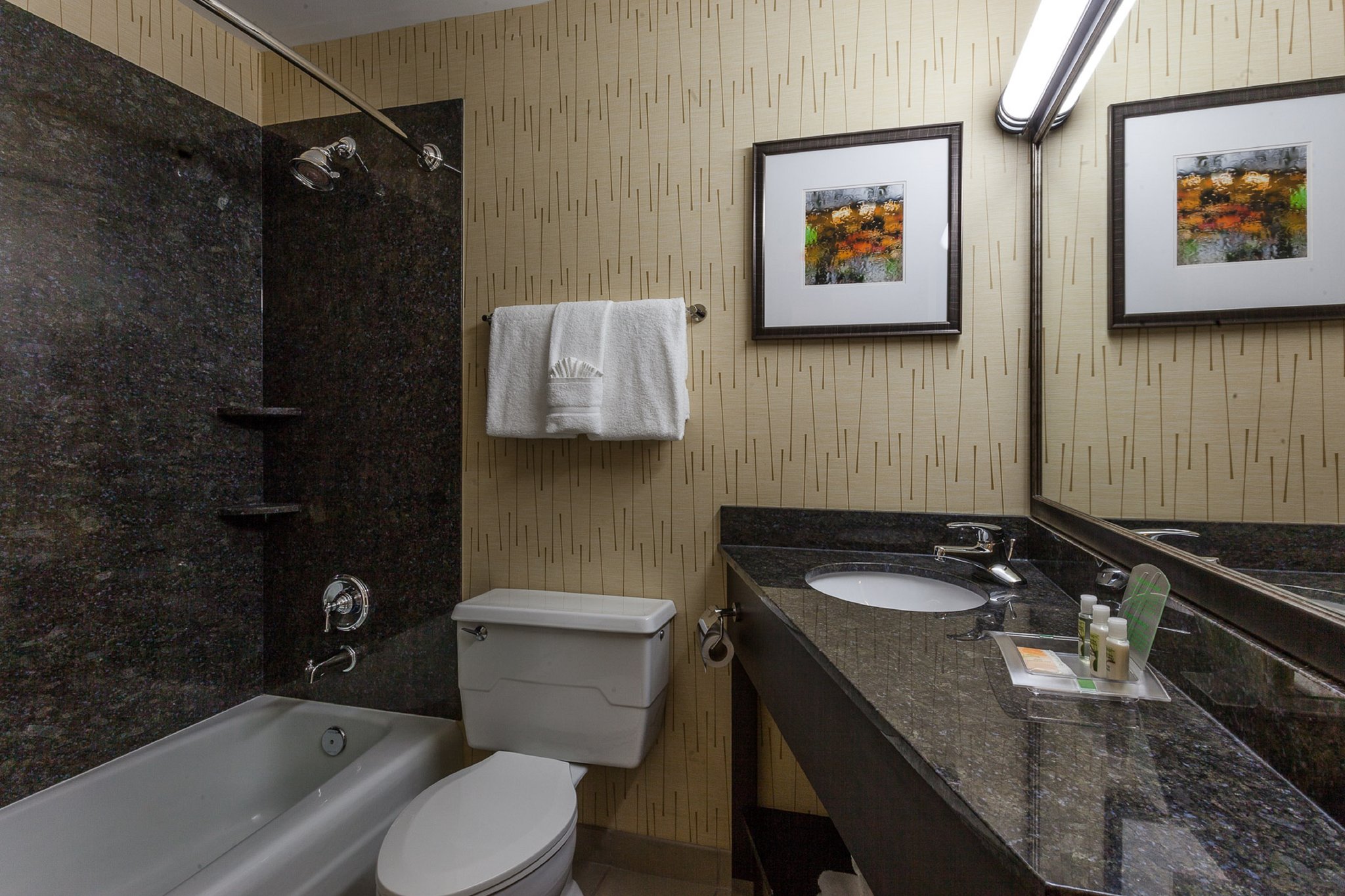 Holiday Inn Chicago North-Evanston - Tap to explore photos