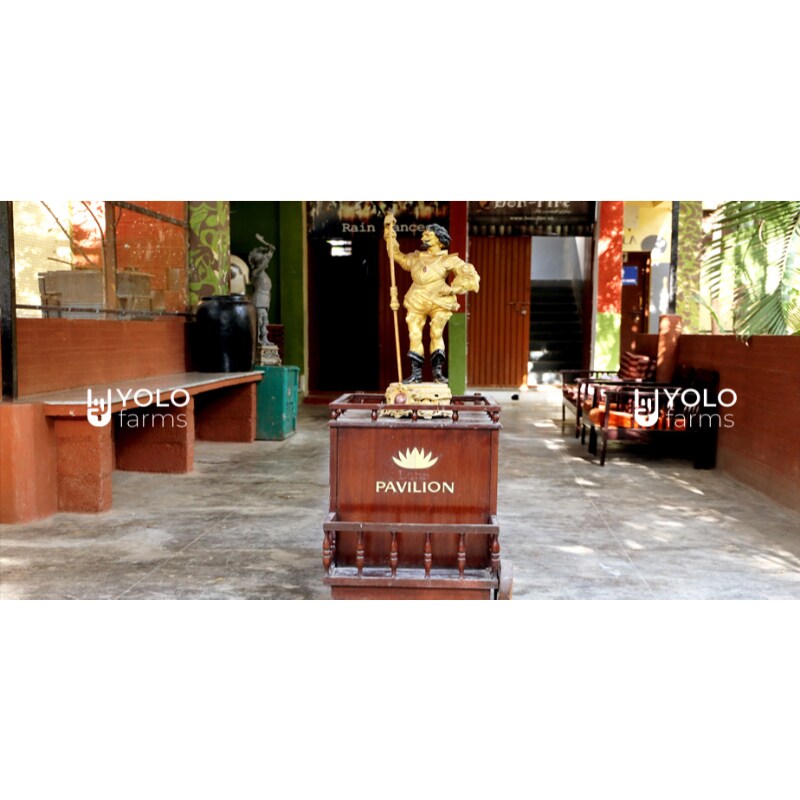YOLOFarms 4091 - Tap to explore photos