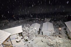 Auli Eco Nature Resort