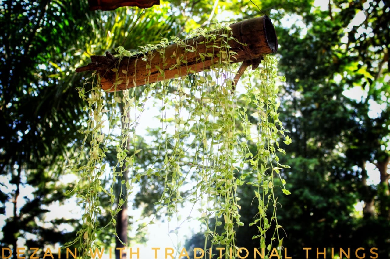 Jungle Inn - Tap to explore photos