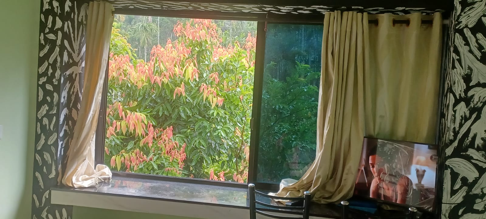 Trinity Homestay - Tap to explore photos