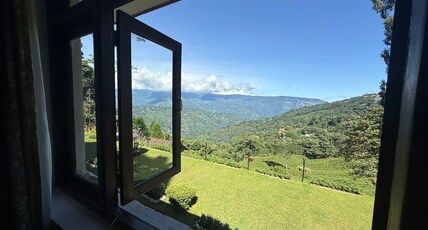 Mountain Tea Garden Villa with fireplace n BBQ Room Type - Mountain Tea Garden Villa with fireplace n BBQ