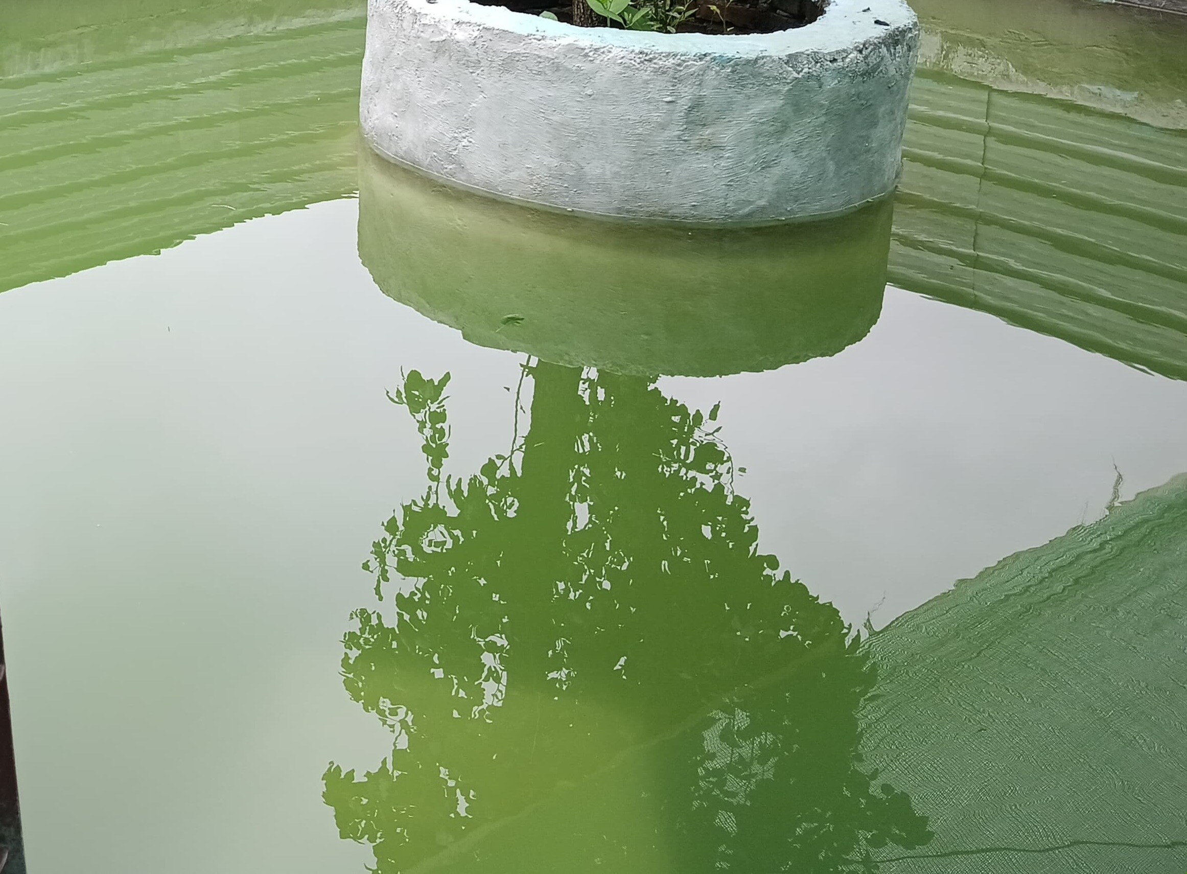 Jijivisha Homestay - Tap to explore photos