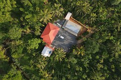 Liva wayanad