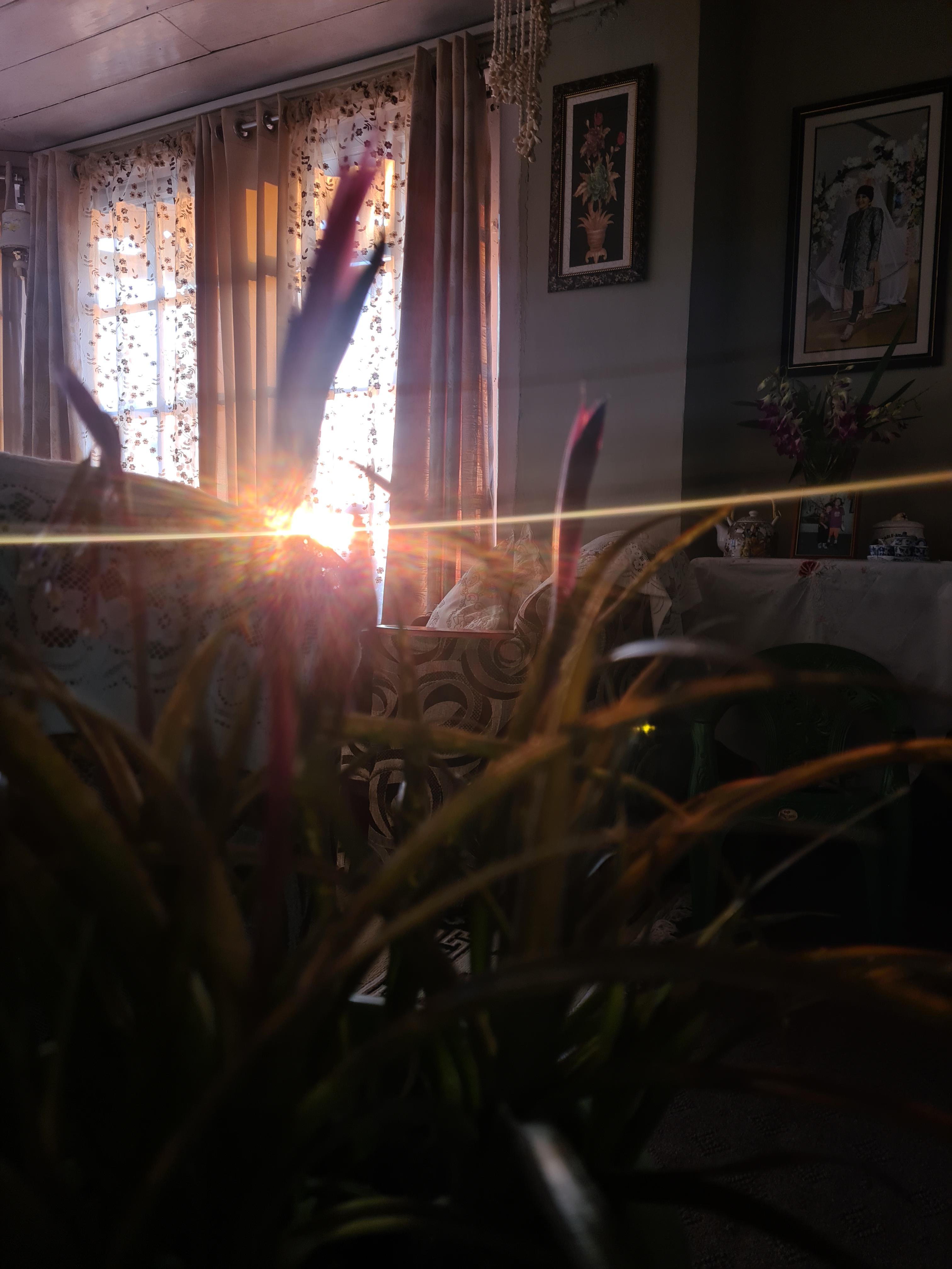Peace Valley German Heritage Cottage Home Stay - Tap to explore photos