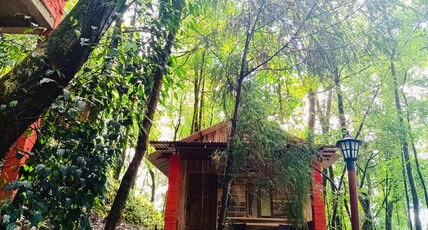 Orion Retreat | Jungle Huts Room Type - Suite Hut
