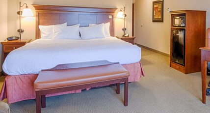 Hampton Inn & Suites by Hilton Pinedale Room Type - 1KING STUDY SOFABED NOSMOK